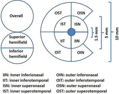 The Temporal Retinal Nerve Fiber Layer Thickness Is the Most Important Optical Coherence Tomography Estimate in Multiple Sclerosis